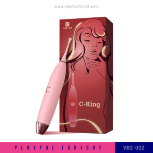 Playful2night_VB2-002