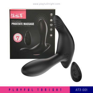 Playful2night_AT3-001